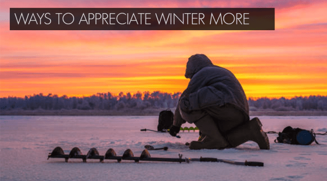 Midwestern Winter Devastates Yet Invigorates