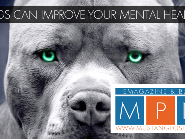 Dogs Improve Your Mental Health?