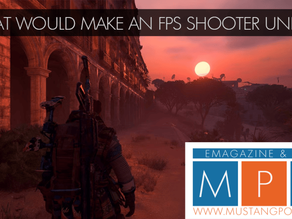 What Would Make An FPS Shooter Unique?